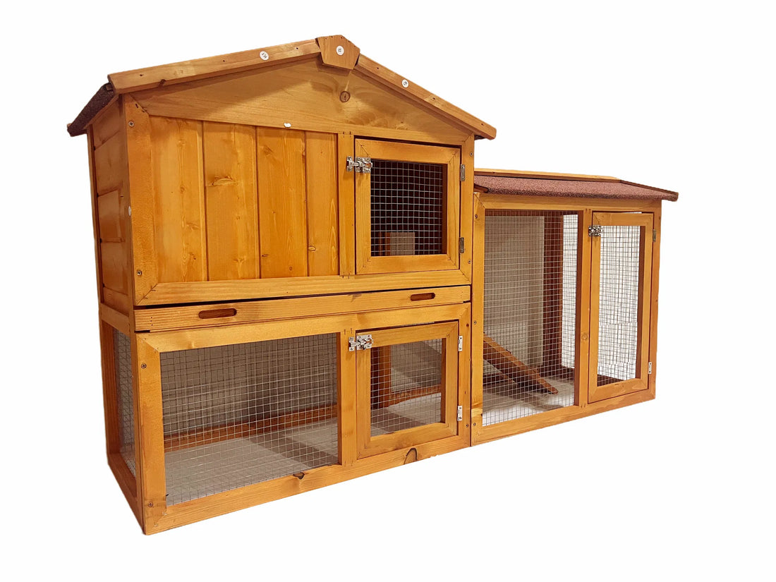 XPT015 Durable & Wearable Chicken Coop for Playgrounds
